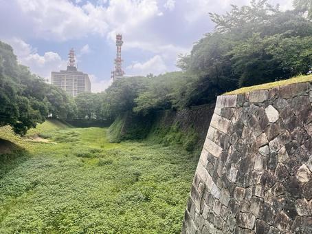 名古屋城 名古屋城の写真