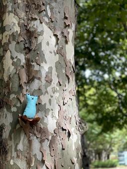 ひげねことプラタナス ひげねことプラタナスの写真