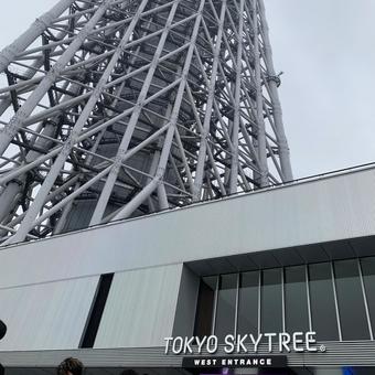 スカイツリー スカイツリーの写真