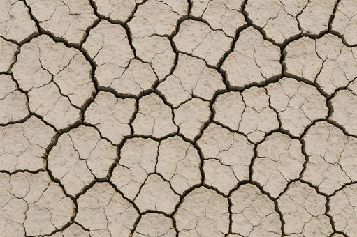 ひび割れた乾燥大地のテクスチャ ひび割れた乾燥大地のテクスチャの写真