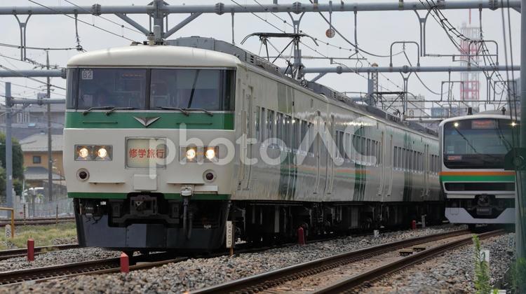 修学旅行列車 修学旅行列車,貸し切り,臨時列車の写真素材