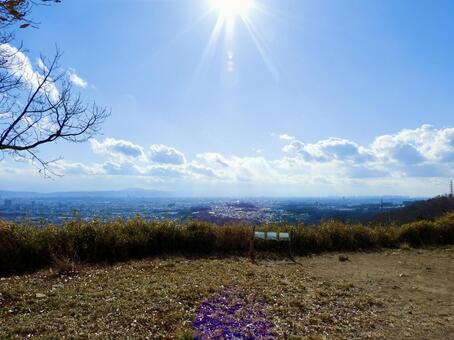 高槻市三好山からの絶景3 大阪平野,高槻市,市街地の写真素材