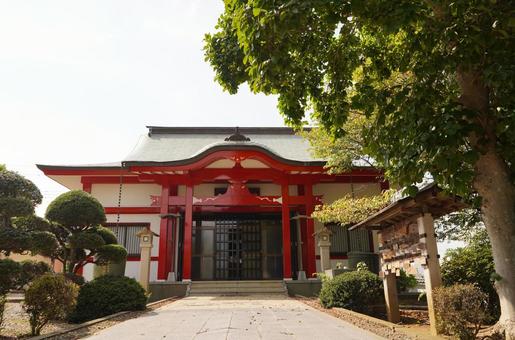 土浦市、真延寺本尊と参道の樹 土浦市、真延寺本尊と参道の樹 神社仏閣,寺院,寺の写真素材
