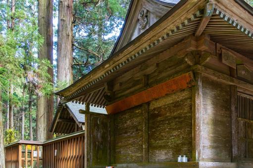 黄金山神社⑼ 神社,黄金山神社,神社仏閣の写真素材