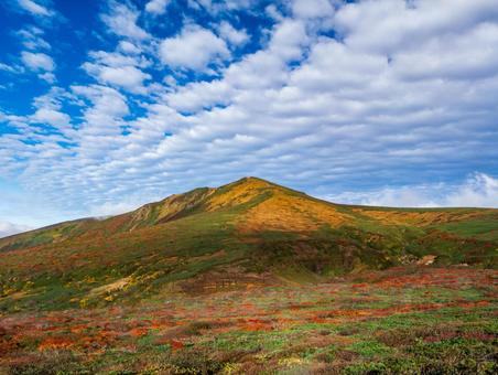 紅葉の栗駒山(須川岳) 紅葉の栗駒山(須川岳) 栗駒山,須川岳,紅葉の写真素材