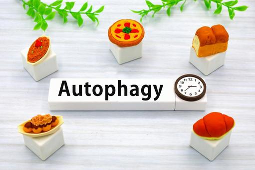 オートファジーダイエット オートファジー,ダイエット,糖質制限の写真素材