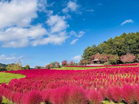 Photo, hokkaido, yuni town, yuni garden, 