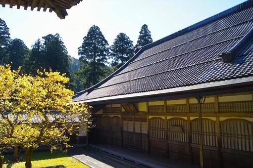 紅葉の永平寺:14 紅葉の永平寺:14 永平寺,紅葉,もみじの写真素材