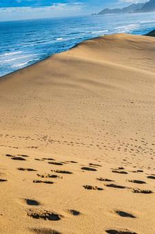 鳥取県　鳥取砂丘の風景 鳥取砂丘,日本の風景,自然の写真素材