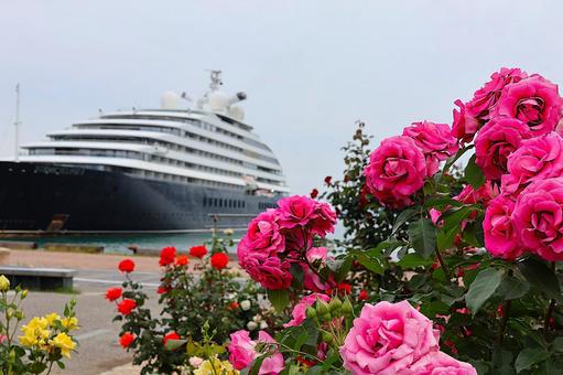 高松港のシーニック・エクリプスⅡとバラ園 高松港のシーニック・エクリプスⅡとバラ園の写真