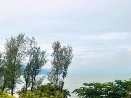 広がる海 広がる海 海,ビーチ,海辺の写真素材