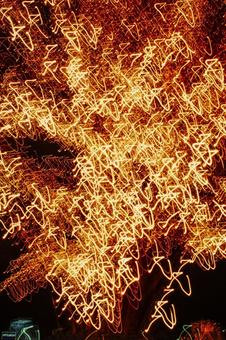 ツリーの電飾、アブストラクト5 クリスマスツリー,クリスマスライト,アブストラクトの写真素材