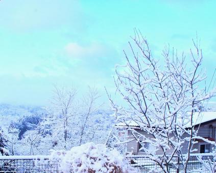 青空と積雪の写真