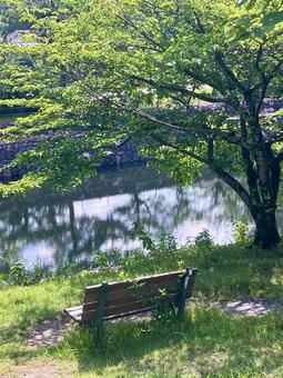 宇治川のベンチ〜夏〜 宇治川のベンチ〜夏〜の写真