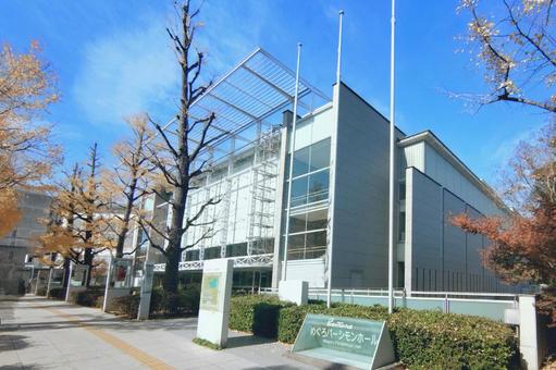 めぐろパーシモンホール　東京都目黒区 パーシモンホール,図書館,公共施設の写真素材