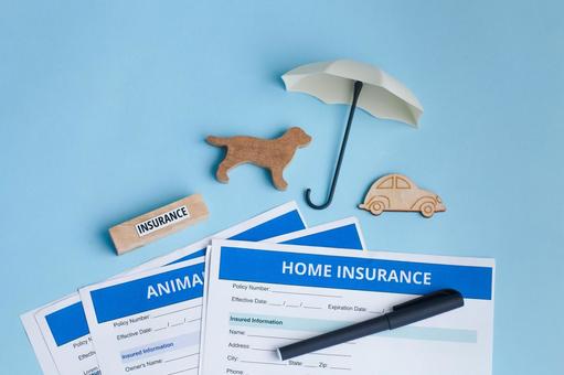 ペットに関する保険モチーフの写真
