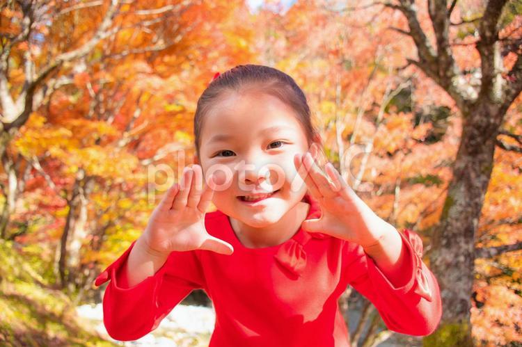 紅葉と子供　やっほー！ 笑顔,子供,紅葉の写真素材
