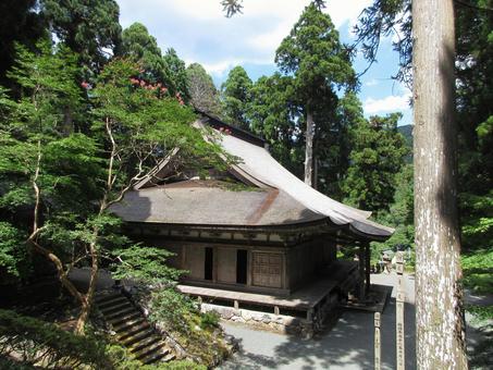 福井県-明通寺-国宝-本堂とサルスベリ 福井県-明通寺-国宝-本堂とサルスベリの写真