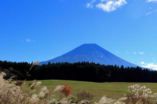 秋の富士山 富士山,秋,空背景の写真素材