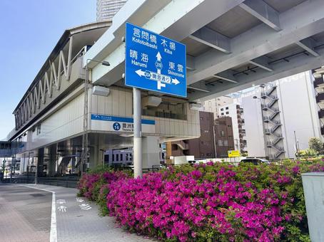豊洲駅前の街並み 豊洲駅前の街並み つつじ,東京,豊洲の写真素材