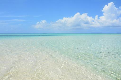 浅瀬 浅瀬の写真