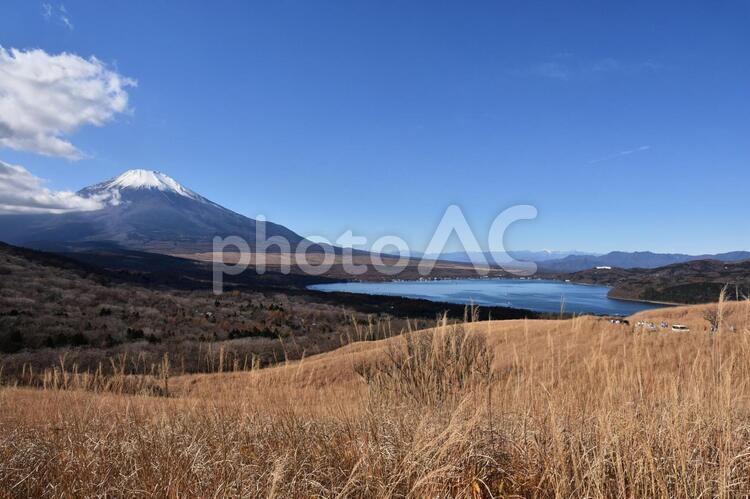 秋の富士山と山中湖 富士山,山中湖,世界遺産の写真素材
