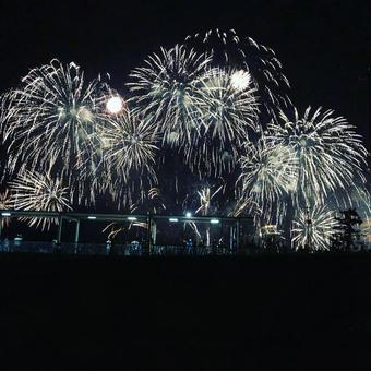 きらびやか花火 きらびやか花火の写真