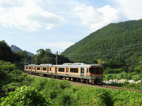 JR東海313系電車 JR東海313系電車の写真