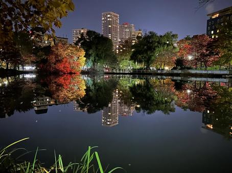 中島公園 中島公園 リフレクション,水鏡,ライトアップの写真素材