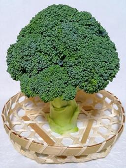 ブロッコリー ブロッコリー ブロッコリー,野菜,食材の写真素材