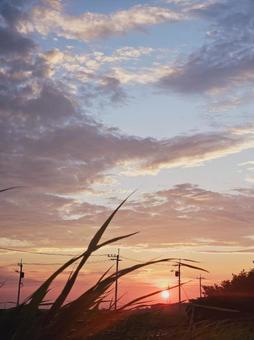 夕暮れ 夕暮れの写真