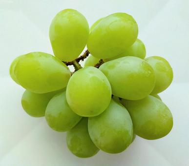Photo, muscat of alexandria, from okayama prefecture, sweet and sour, 