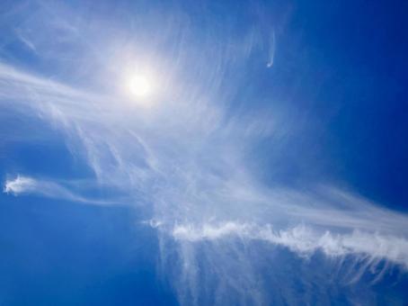 夏空 夏空の写真