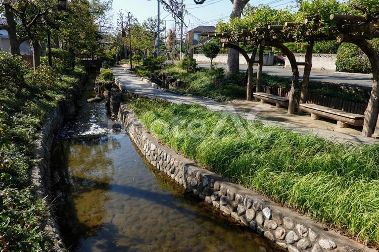 古川親水公園 古川親水公園,江戸川区,一之江の写真素材