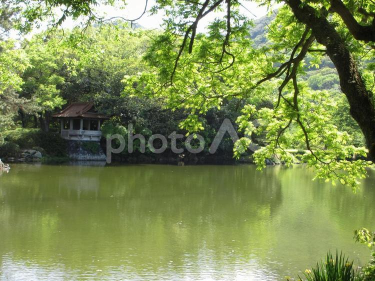 香川県-栗林公園-群鴨池と瞰鴨閣 栗林公園,公園,特別名勝の写真素材