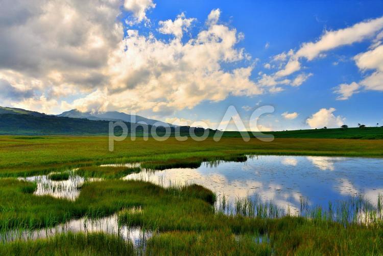 北海道　雨竜沼湿原２ 北海道,湿原,沼の写真素材