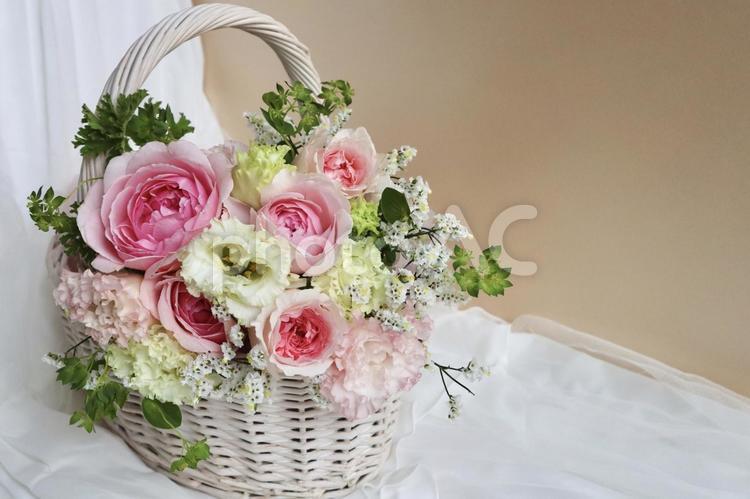 ピンク色のバラのフラワーバスケット　 花,花束,冬の写真素材