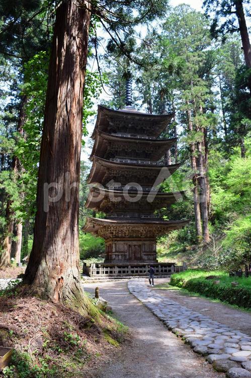 国宝 羽黒山五重塔周辺の風景 羽黒山五重塔付近の景色,羽黒山五重塔,羽黒山五重塔付近の写真素材
