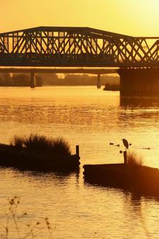 冬の朝 冬の朝,朝焼け,橋梁の写真素材