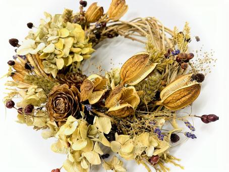 夏の思い出のリース 03 リース,wreath,ドライフラワーの写真素材