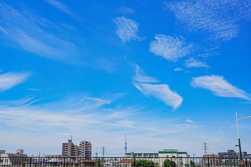 夏空の下のスカイツリーと奥戸の街 夏空の下のスカイツリーと奥戸の街の写真