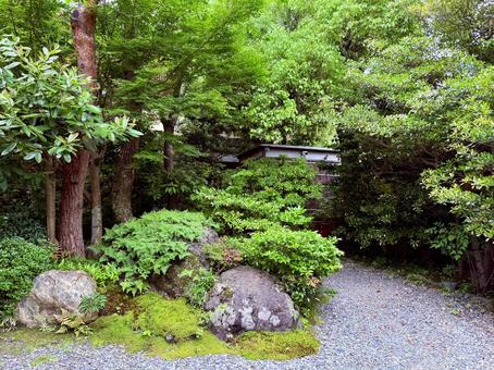 日本庭園に欠かせない岩 日本庭園に欠かせない岩 日本庭園,京都,緑の写真素材