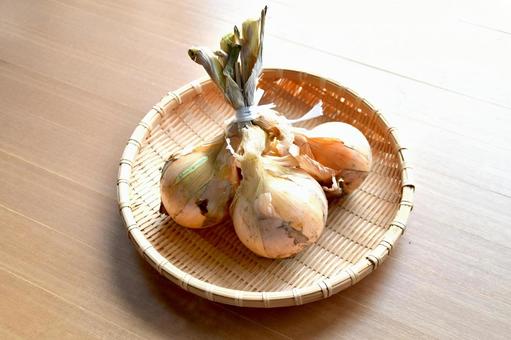 玉ねぎ 野菜 玉ねぎ 野菜の写真