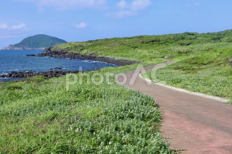 長崎県五島列島福江島の海岸沿いの道 長崎県,五島列島,福江島の写真素材
