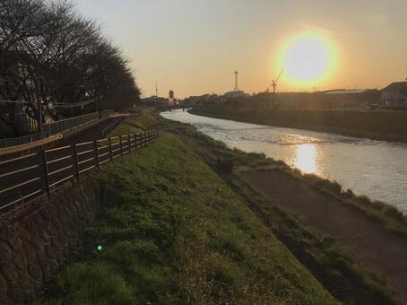 川沿いの夕陽 川沿いの夕陽の写真