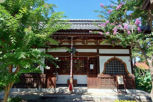 長野県-信濃国分寺-真田・徳川会見之地 長野県-信濃国分寺-真田・徳川会見之地 信濃国分寺,寺,八日堂の写真素材