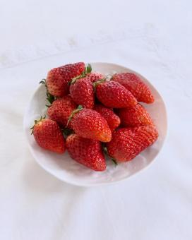 いちご(3) いちご(3)の写真