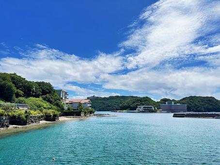 那智勝浦町 港付近の風景 那智勝浦町 港付近の風景の写真