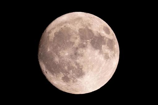 月齢14.0 月齢14.0の写真