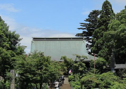 松戸市の「本土寺」の本堂 松戸市の「本土寺」の本堂 本土寺,本土寺本堂,お寺の写真素材